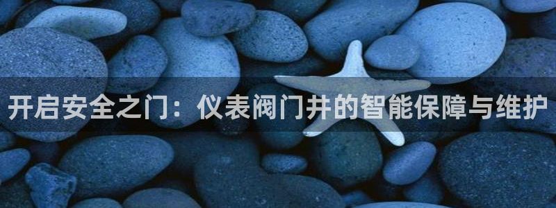 ag亚洲九游会登 口