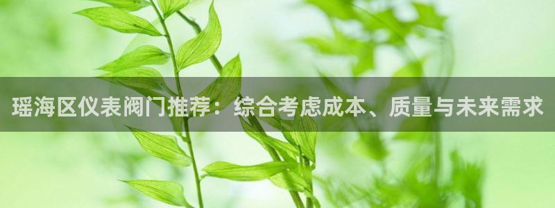 北京冬奥会九游