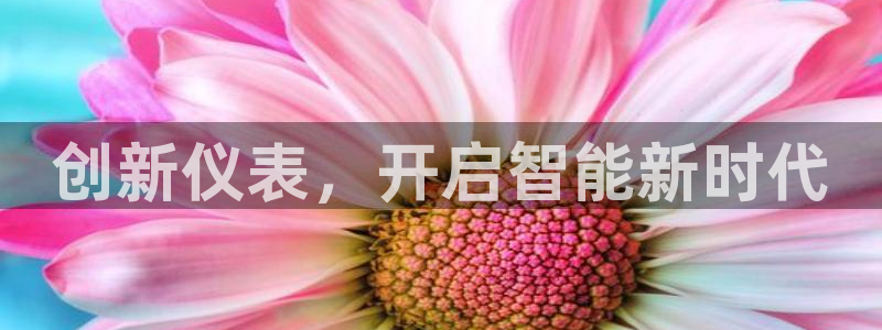 旧站九游会