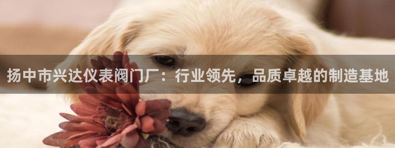 亚洲AG九游会