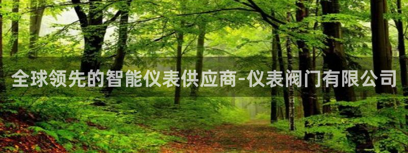 立即充值   九游会