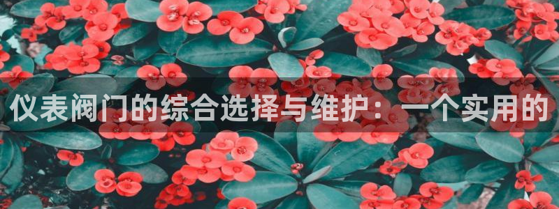 九游会app