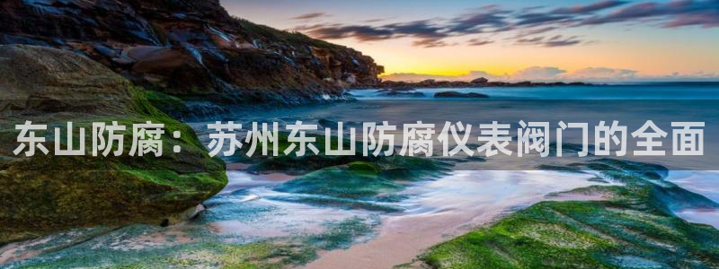 老哥会APP九游会